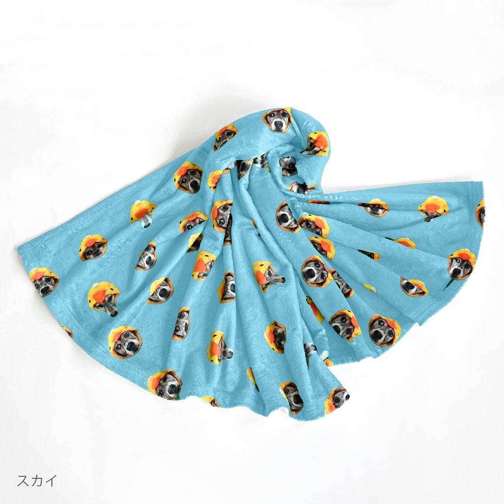 高速配送 ブランケット SHOP DOT PET | 布団・毛布